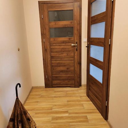 Apartment Sonnenschein Дзивновек Экстерьер фото